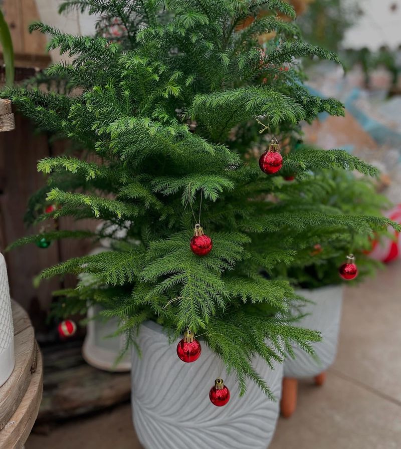 Year-Round Holiday Decorations