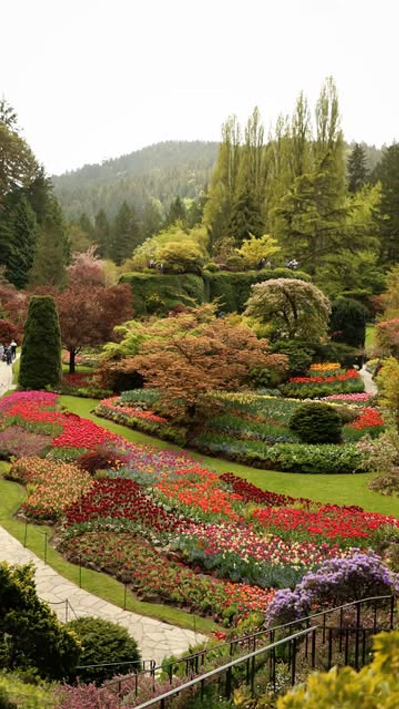From Barren Quarry to Blooming Paradise