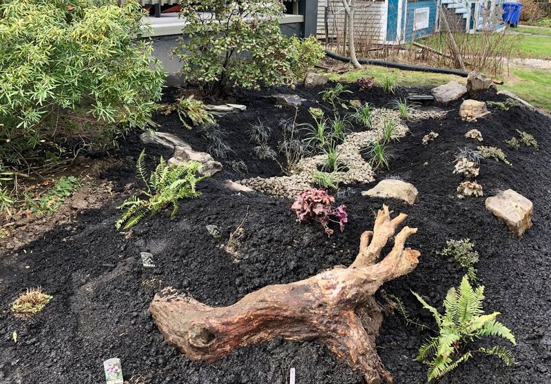 Natural Erosion Control
