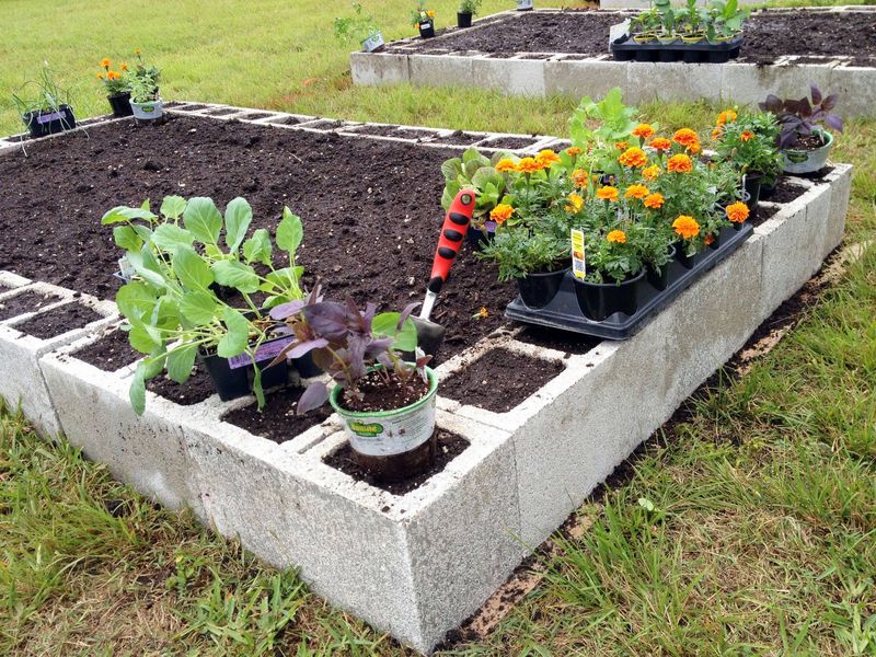 Concrete Block Raised Beds