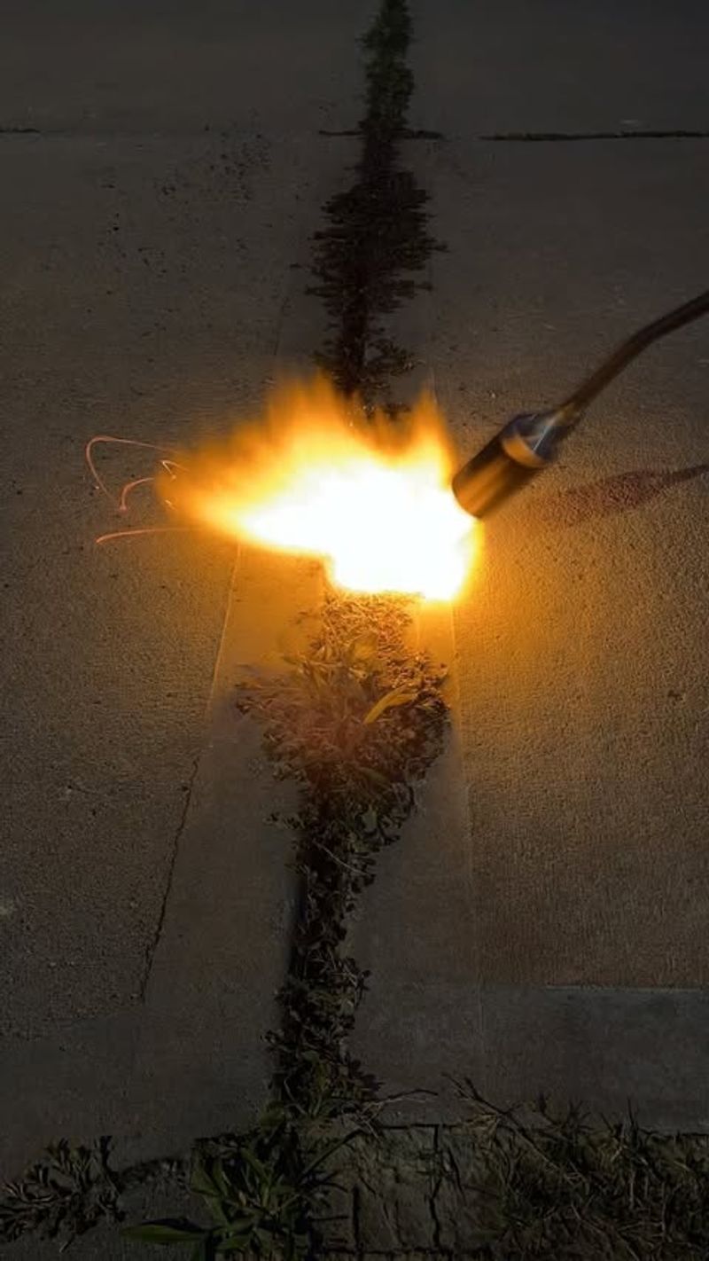 Thermal Weed Control