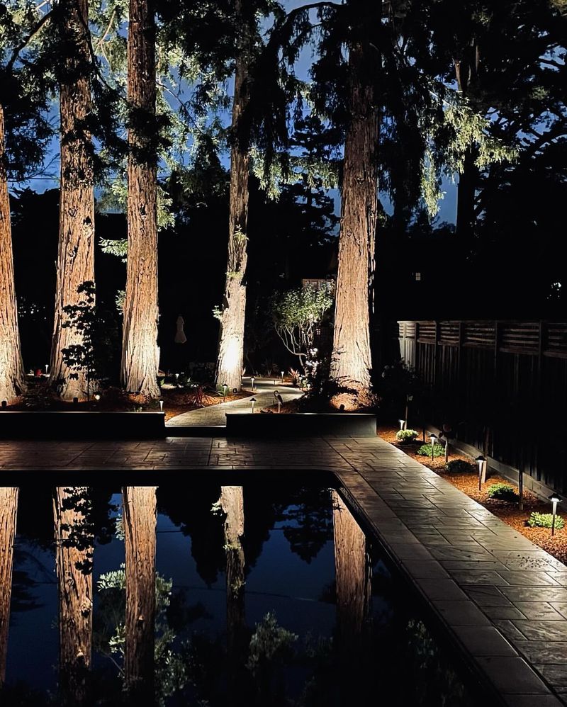 Sculptural Lighting