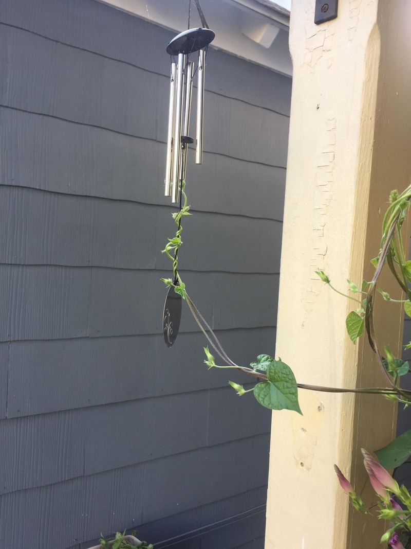 Wind Chimes Create a No-Nest Zone