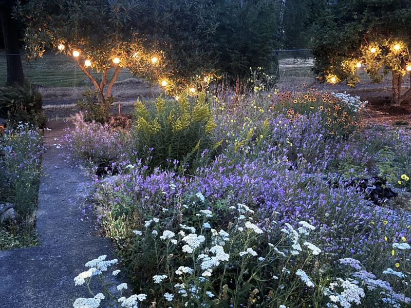 Native Plant Power