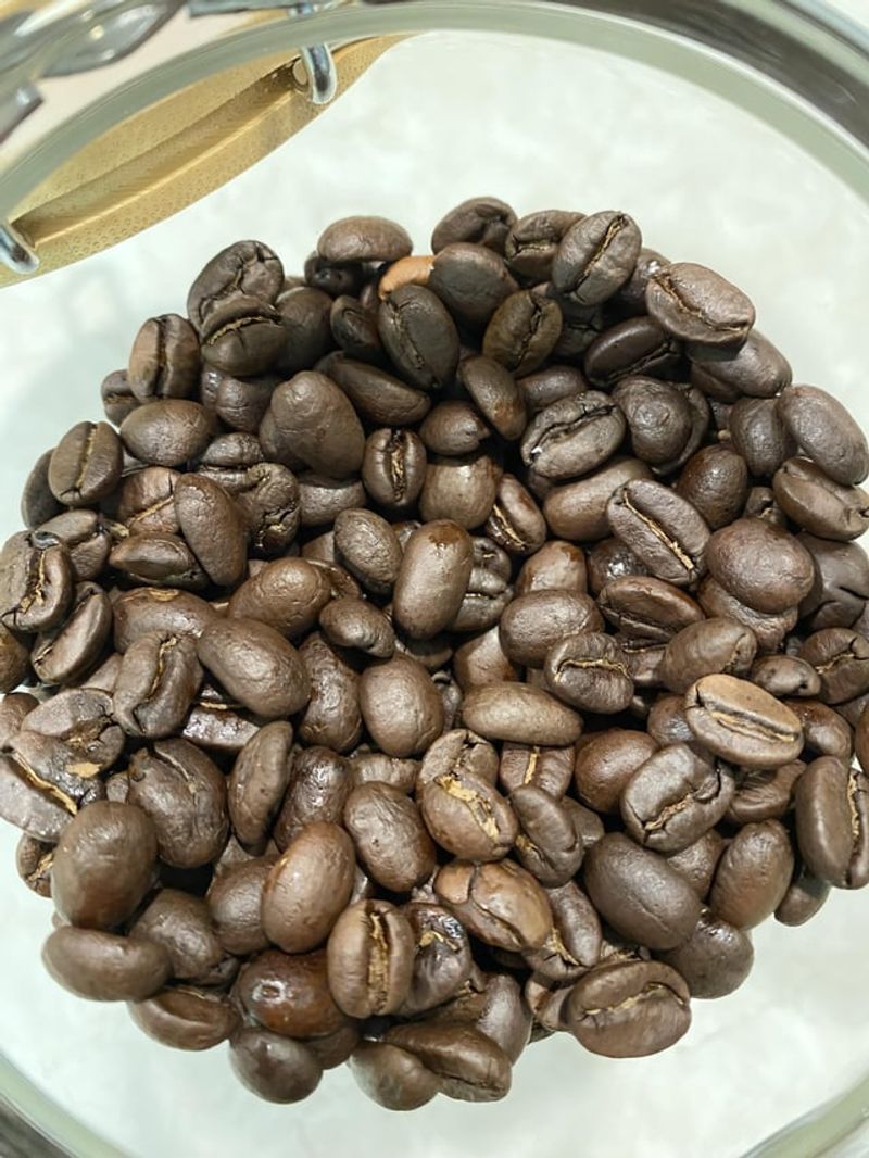 Coffee Grounds (Fresh)