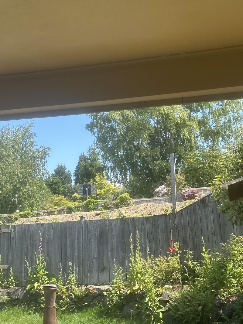 Excessive Garden Structures
