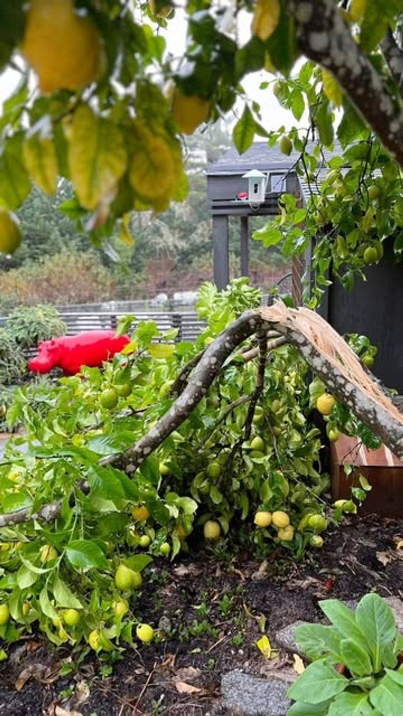 Mulch Matters