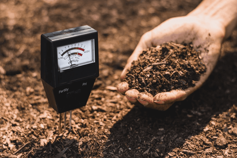 Altered Soil pH Levels