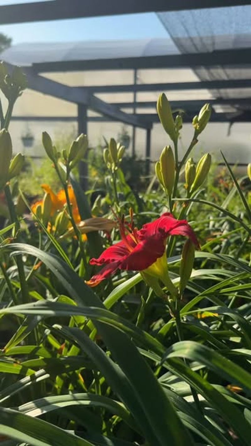 Two-Stage Deadheading Process