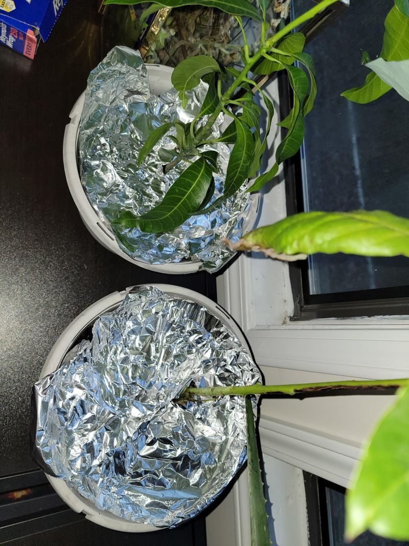 Aluminum Foil Strips That Flash and Crackle