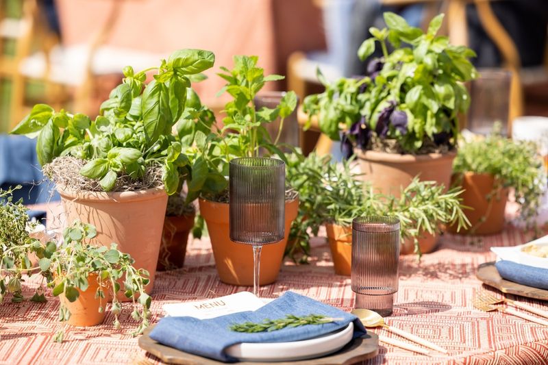 Herb Garden Centerpiece