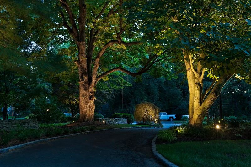 Moonlight Effect From Trees