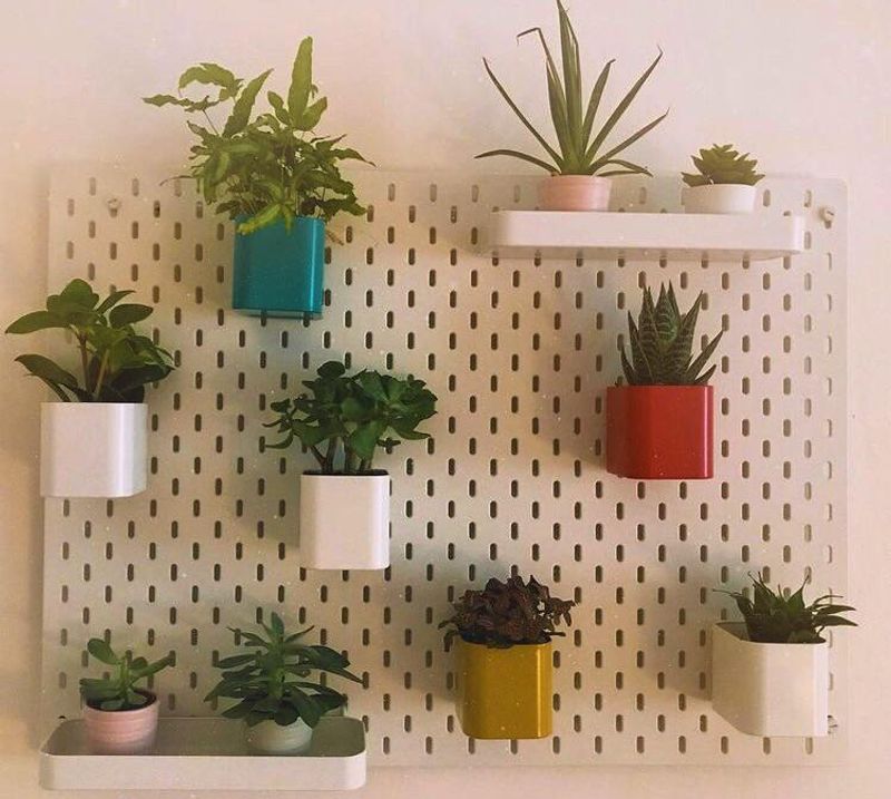 Pegboard Plant Wall