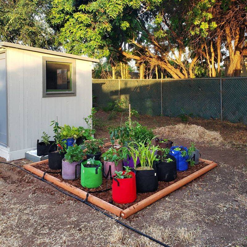 Under-Cabinet LED Garden