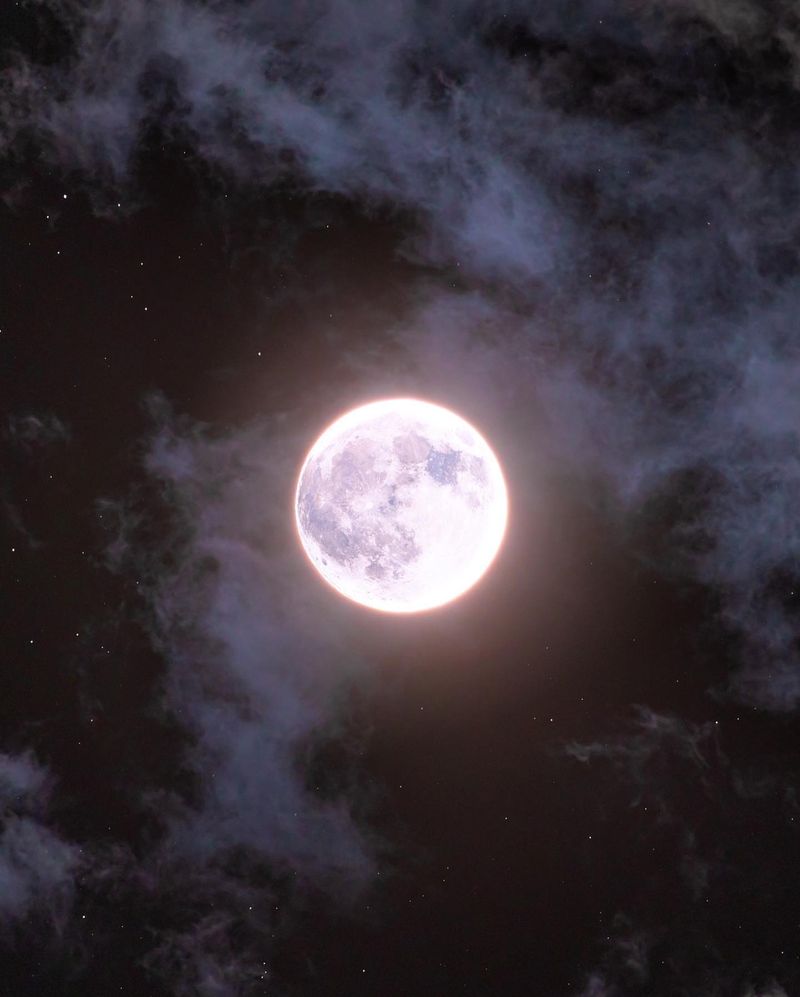 Planting by the Moon