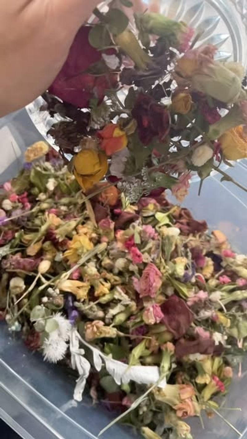 Petal Confetti