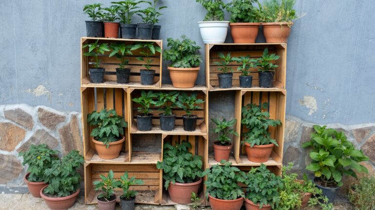 wooden crates as garden shelves