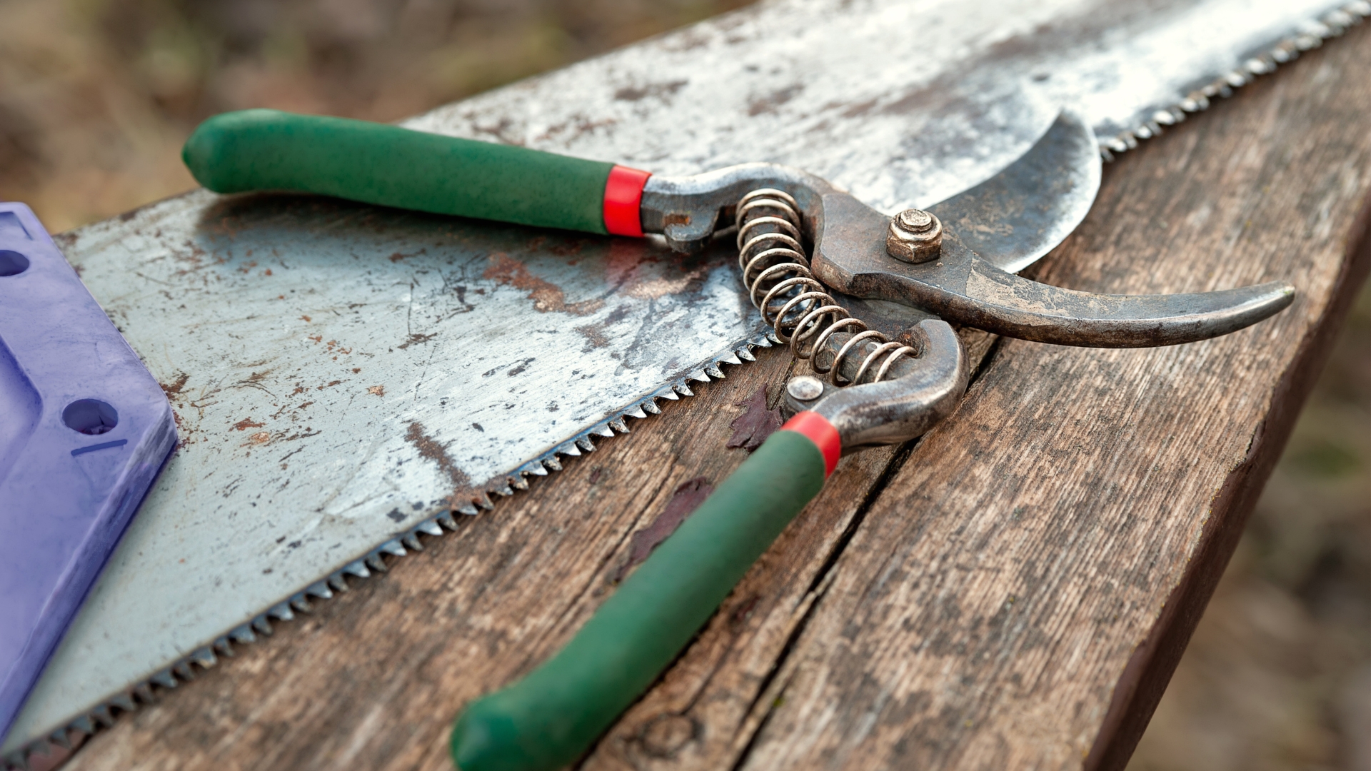 Florida Homeowners Should Watch For Restrictions On These  Everyday Garden Tools