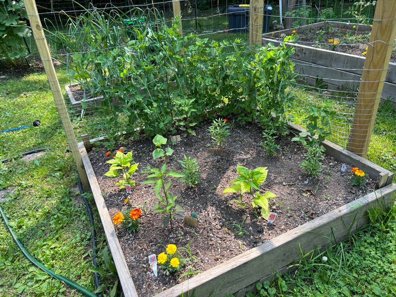 Transition To Organic Methods