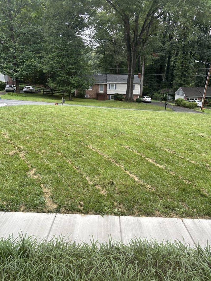Cutting Wet Grass Ruins Your Mower