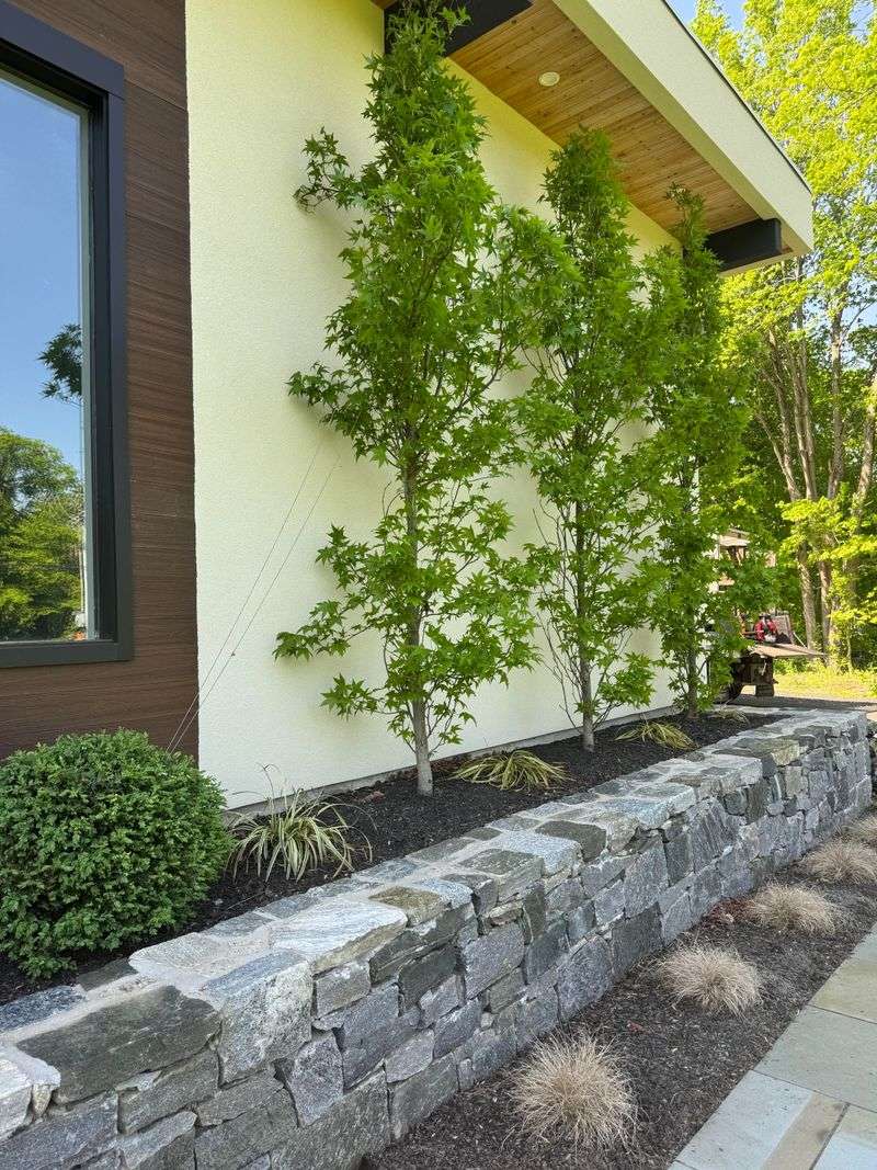 Planting Without Scale Consideration