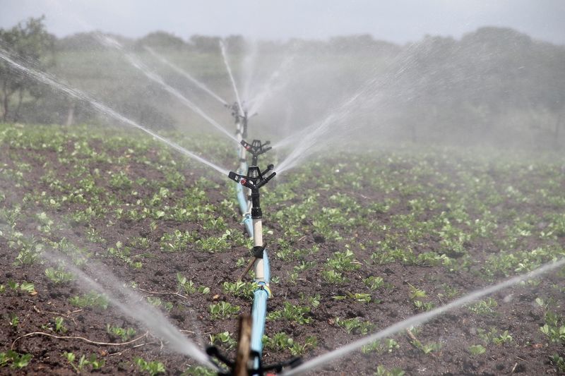 Using Overhead Sprinklers