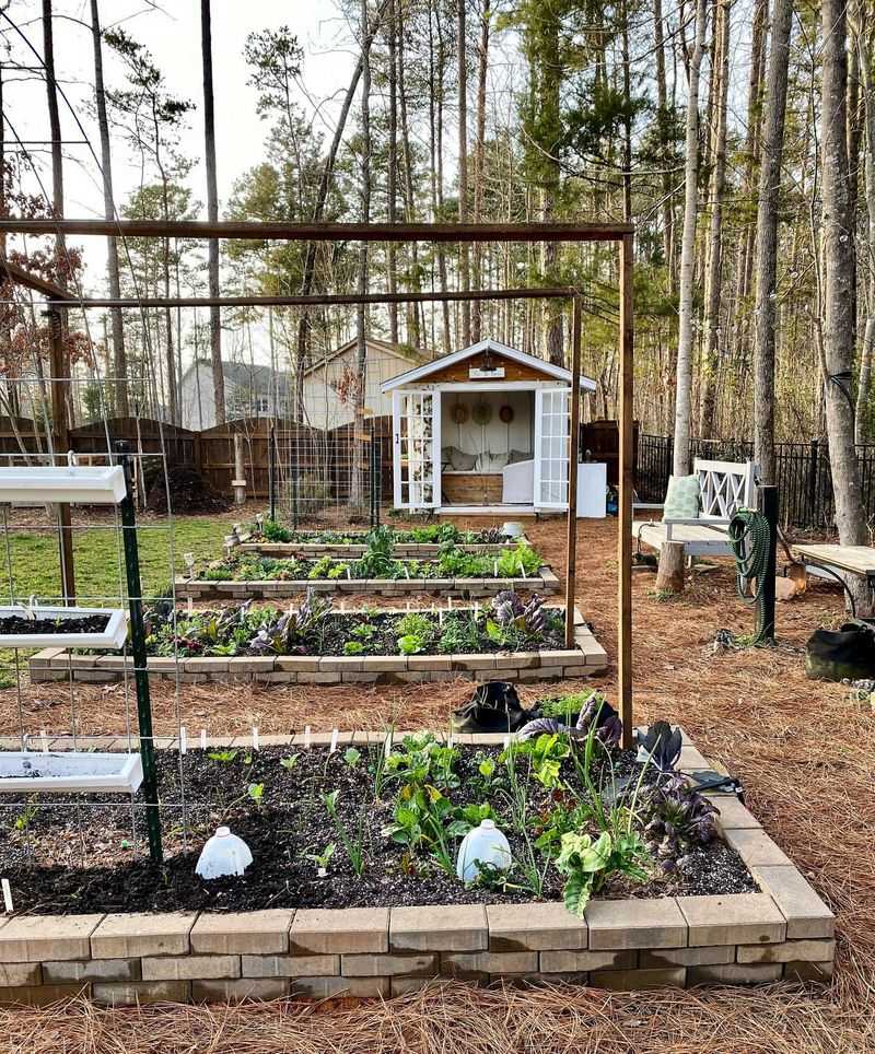 Improper Mulching Techniques