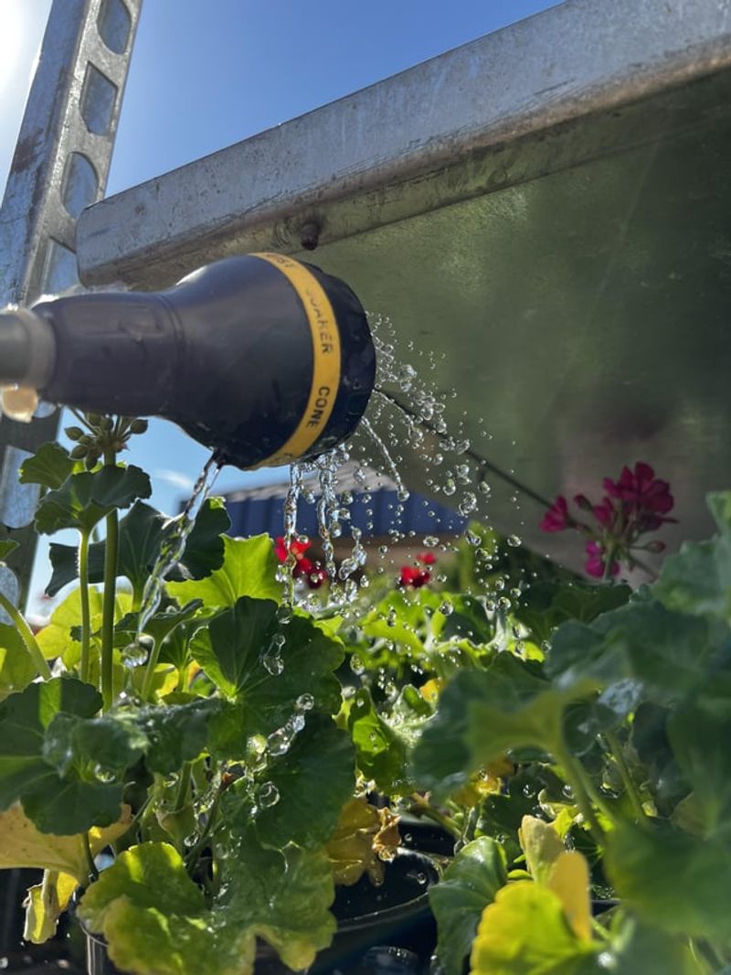 Skipping Fall Watering