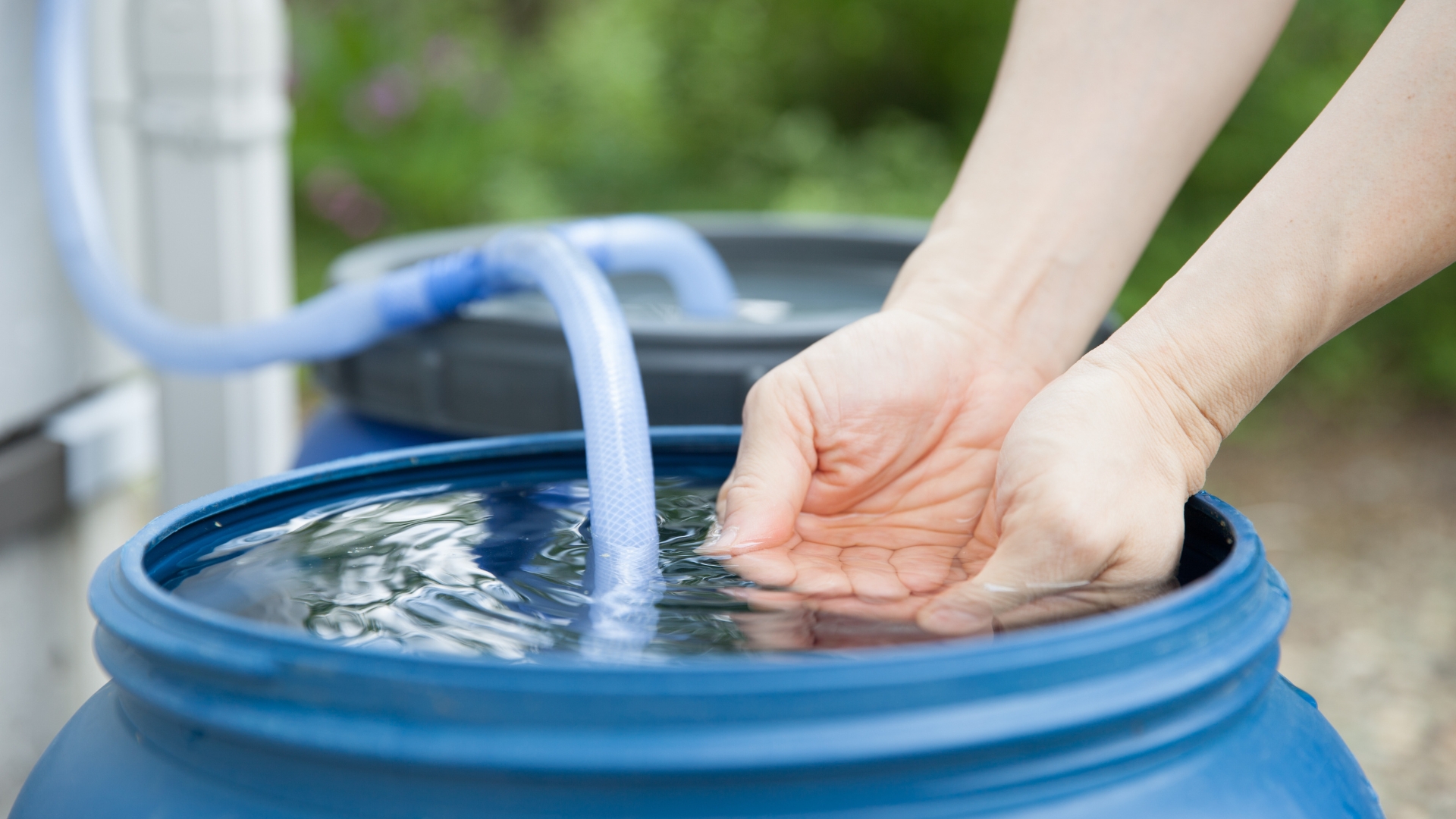 Forgotten Water Harvesting System Transforms Barren Wasteland Into Thriving Farmland