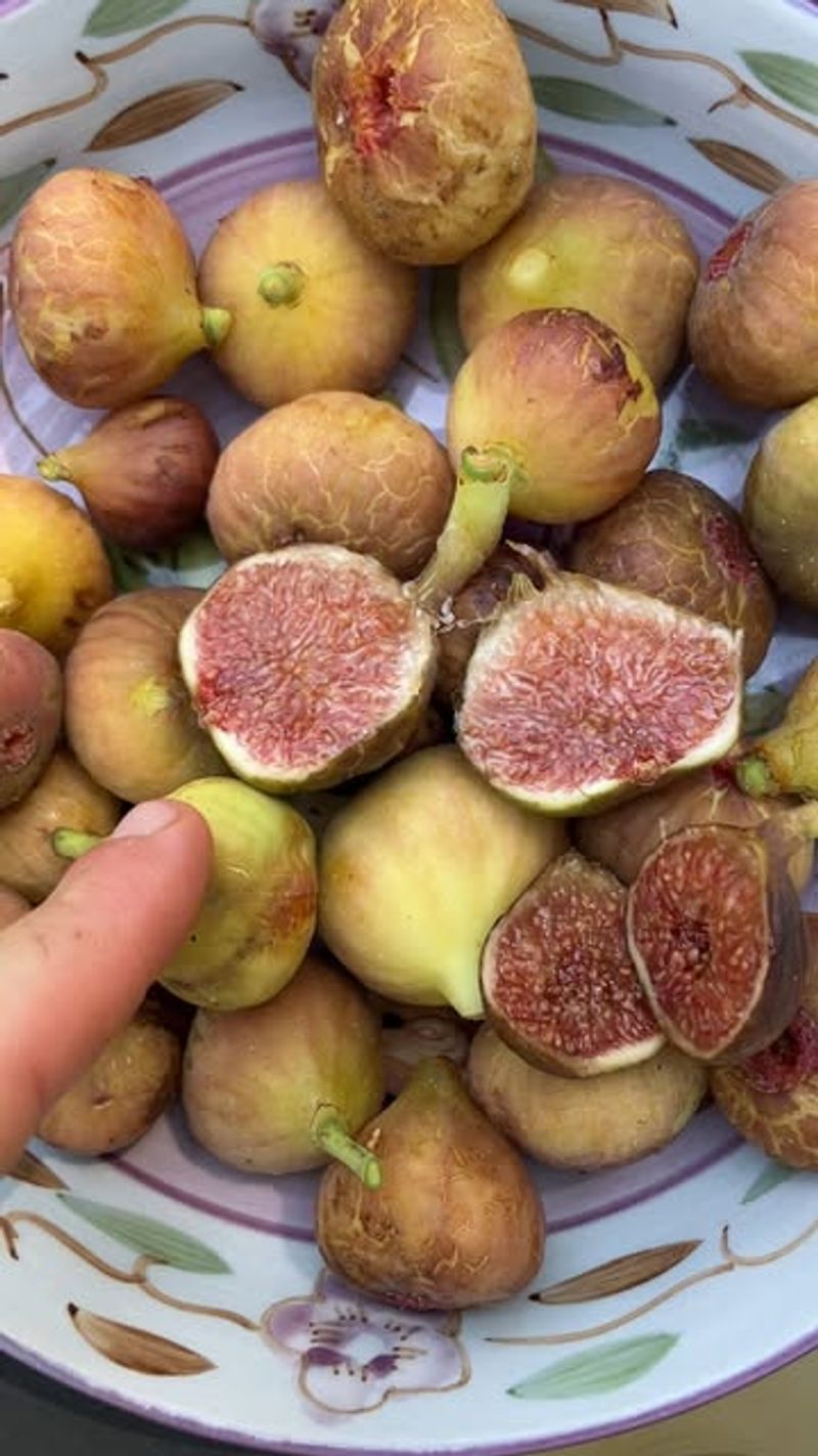 Money-Saving Fruit Source