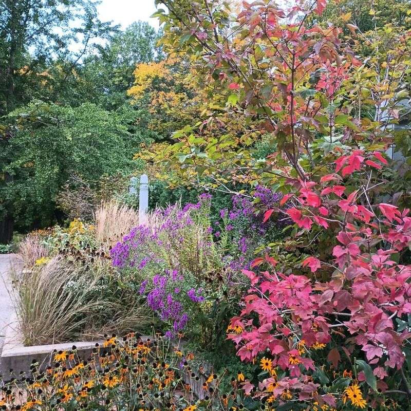 Minnesota Landscape Arboretum - Chaska