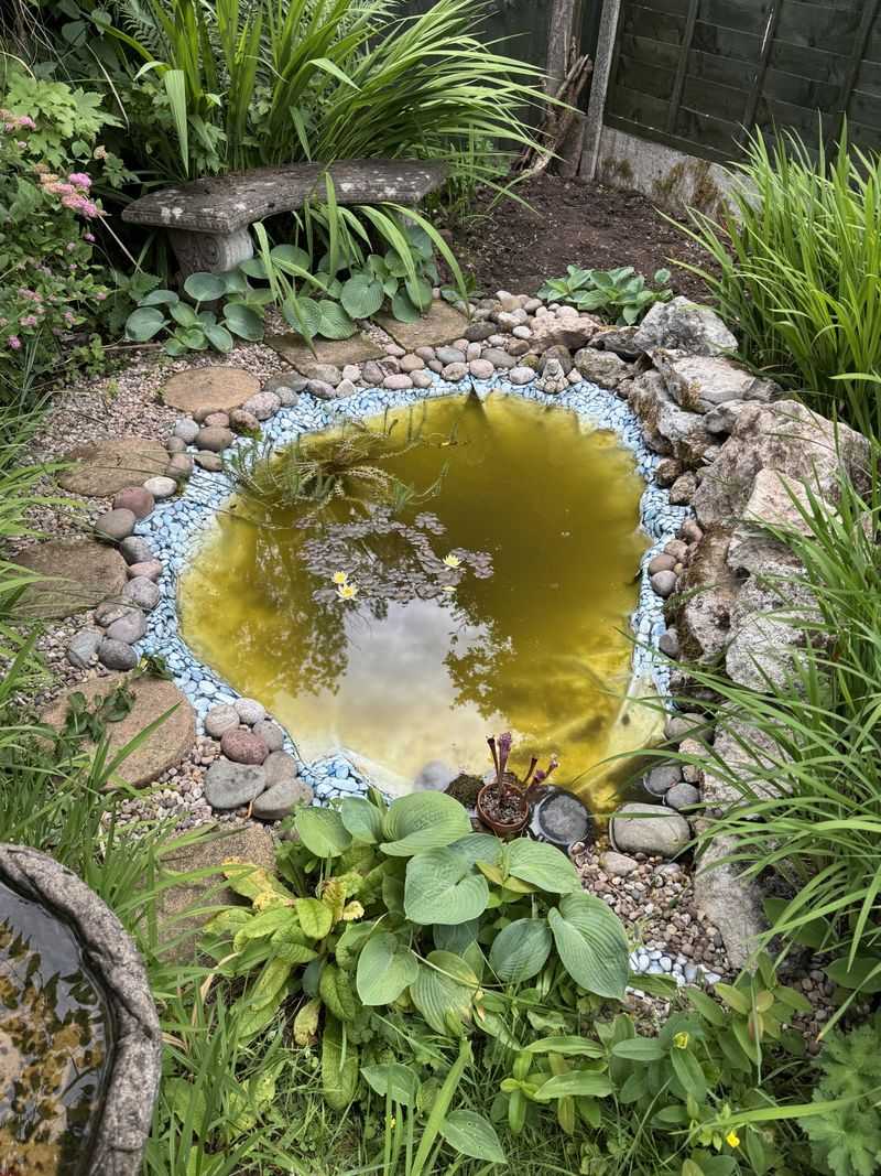 Unsecured Garden Ponds