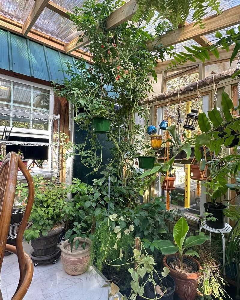 Greenhouse Zoning Violations