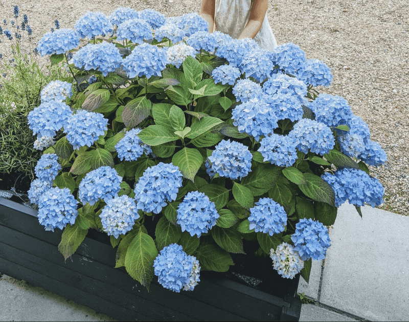 Poor Air Circulation Compounds Problems
