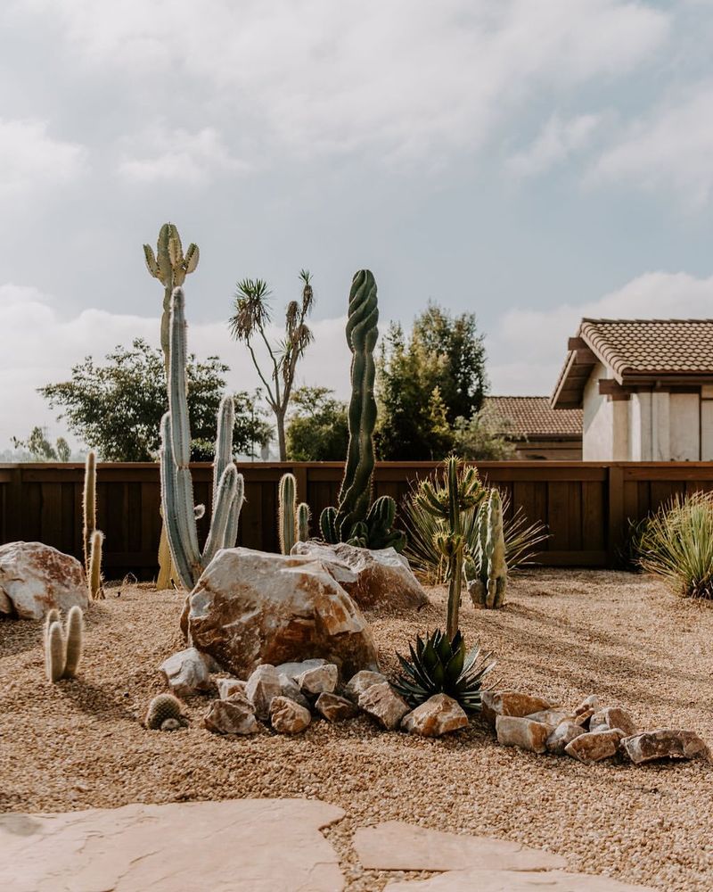 Zen Desert Rock Garden