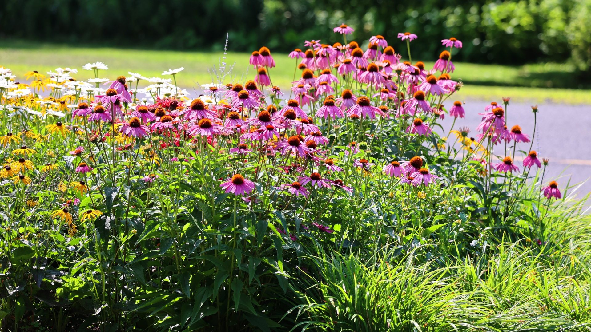 Game-Changing Landscaping Ideas To Bring Your Illinois Yard Back To Life This Spring