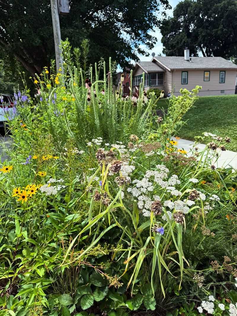 Native Prairie Garden