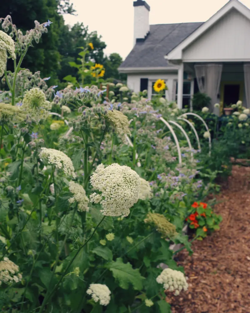 Edible Landscaping