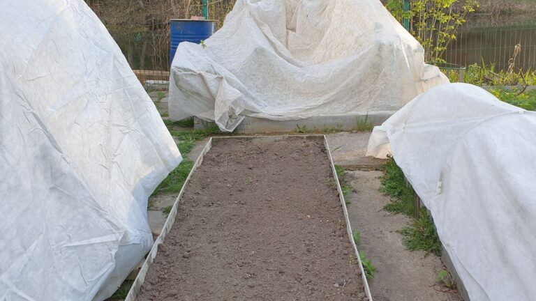 bed sheets on plants