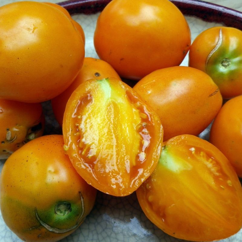 Choose Heat-Tolerant Varieties