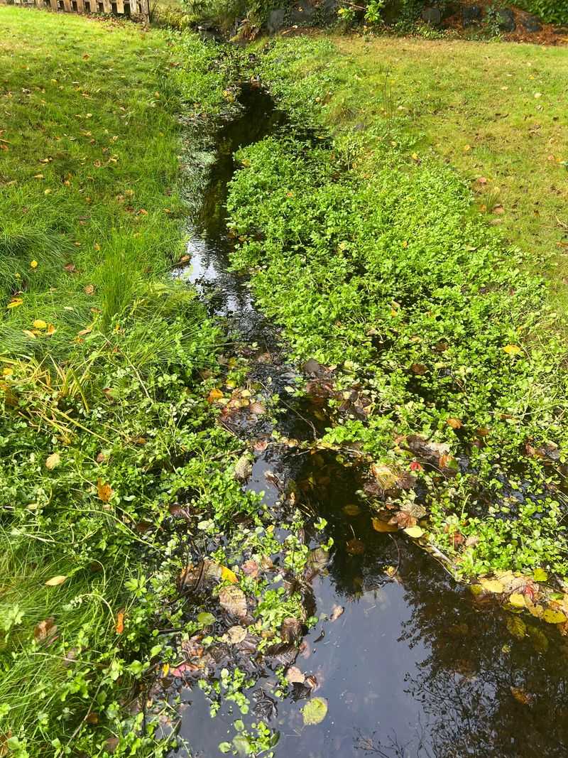 Apply Less Near Water Sources