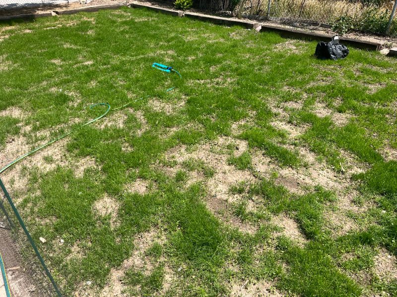 Spring Is The Best Time For Seeding