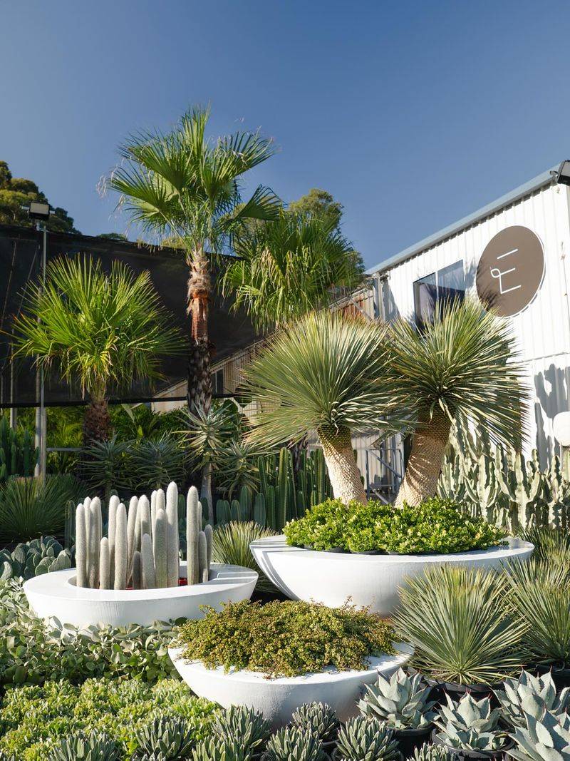 Oversized Planters