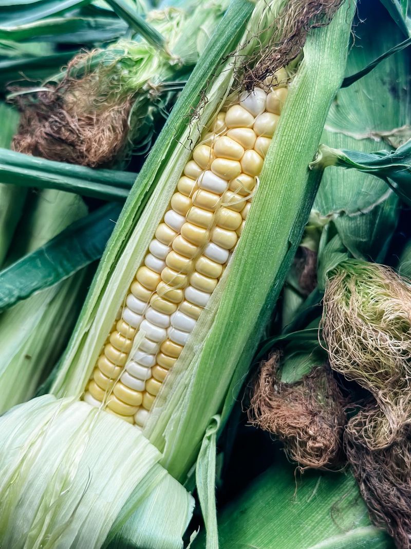 Corn