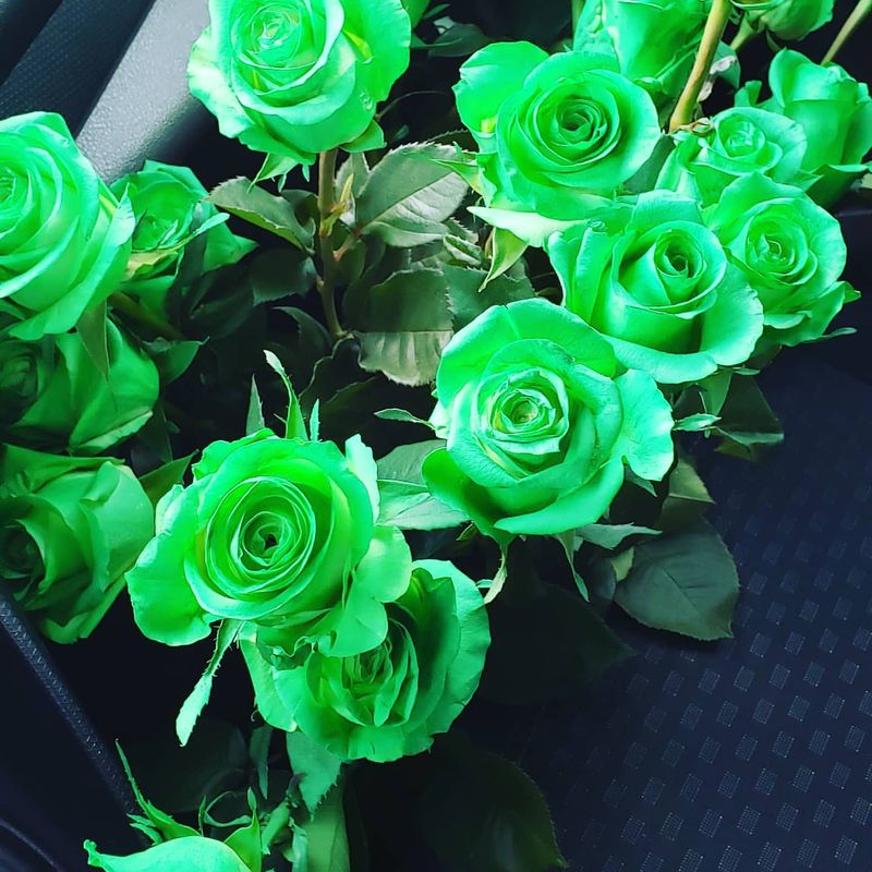 Green Roses