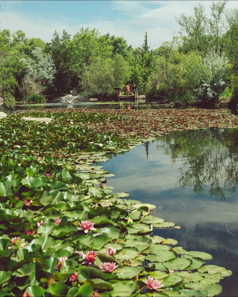 ABQ BioPark Botanic Garden - Albuquerque, New Mexico