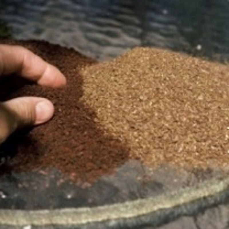 Feed The Soil Microbes, Not Just The Plants