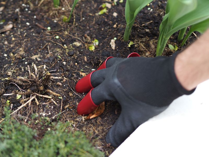 Create Scrubby Weeding Gloves