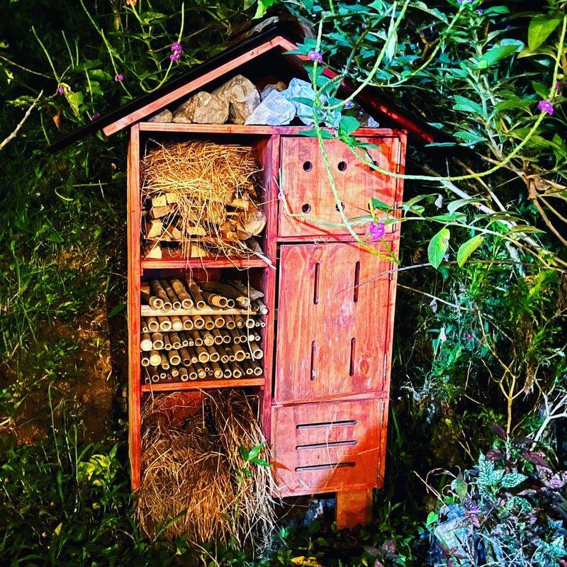 Construct a Bug Hotel