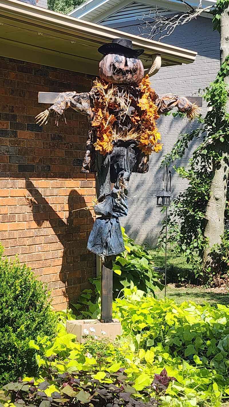 Set Up a Scarecrow
